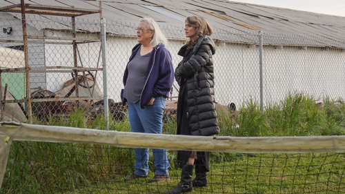True Crime Story: It Couldn't Happen Here