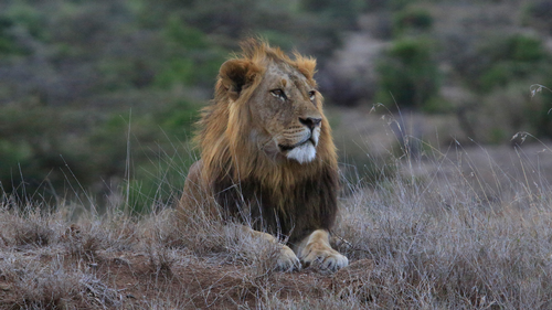 Chasing the Rains - Episode 1