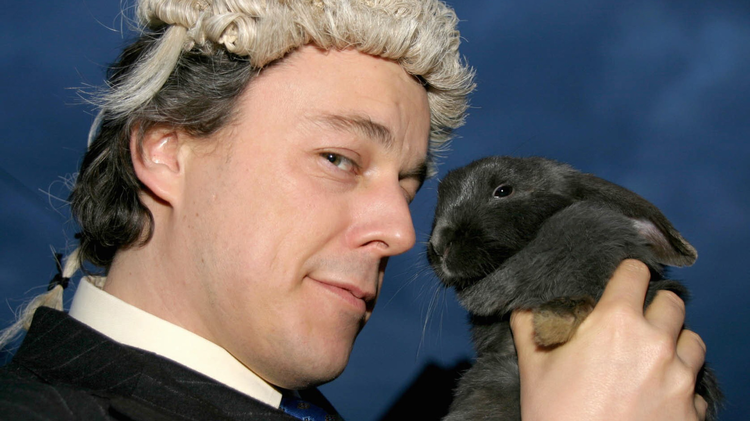 The Brief Trailer image