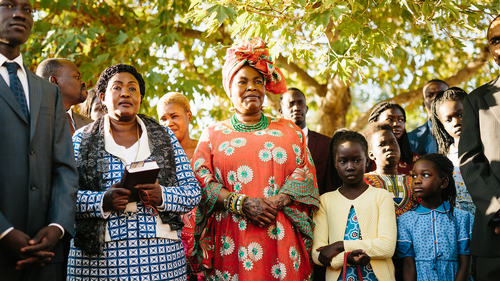 Sunshine Kings - Jacob's Ladder