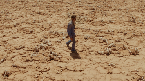 Inspector Rojas - The Dogs