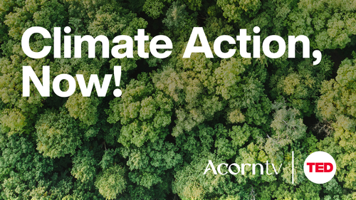 Acorn TV x TED Talks: Transform Your Thinking