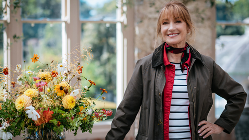 Harry Wild - You Are Cordially Invited to an Assassination