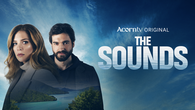 The Sounds image