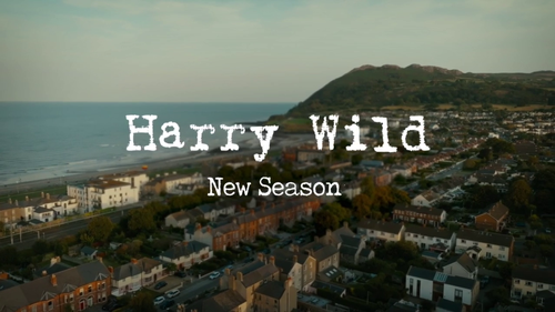 Harry Wild - Coming Soon