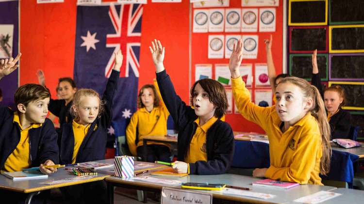 The Heart Guy Clip image