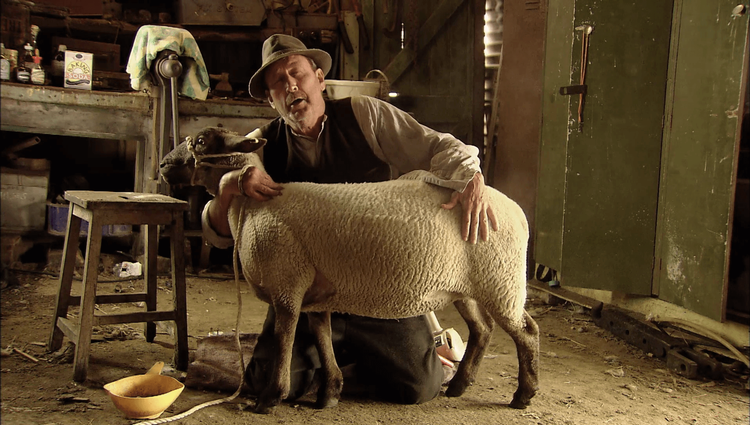 The Indian Doctor Trailer image