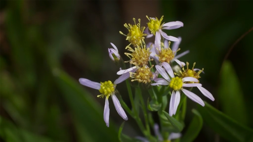 Ireland Coast & Country - Episode 3