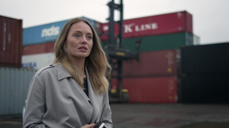 The Level Trailer image