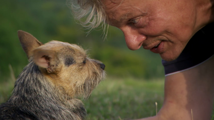 Martin Clunes Wild Life Trailer image