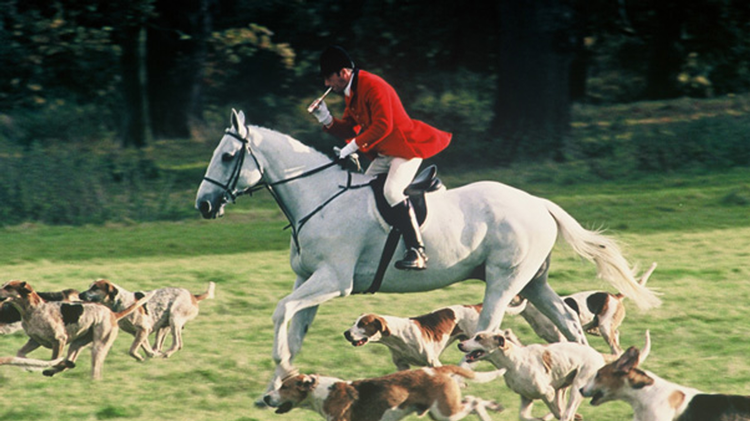 Midsomer Murders Trailer image