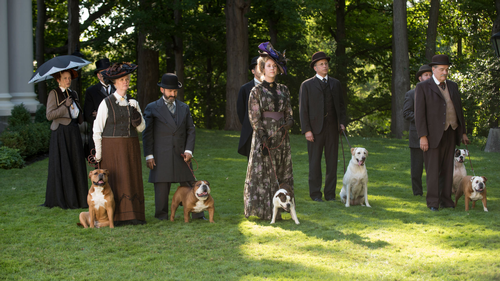 Murdoch Mysteries - A Murdog Mystery