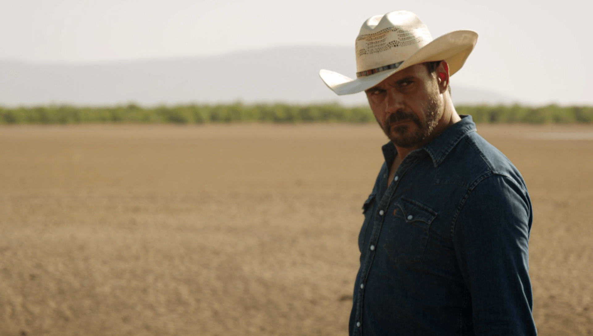 Watch Mystery Road On Acorn TV