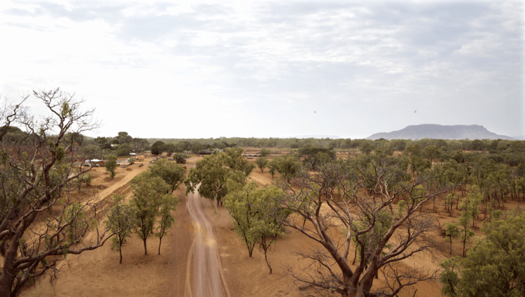 Mystery Road Trailer image