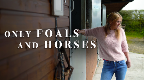 Only Foals and Horses