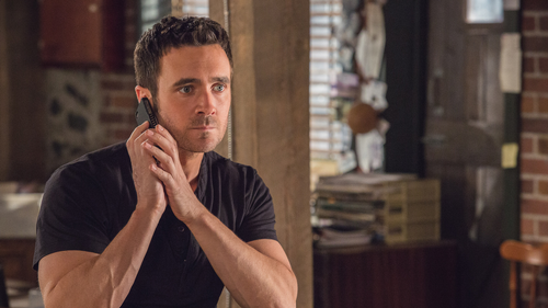 Republic of Doyle