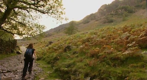 Wainwright Walks