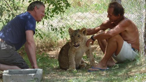 Martin Clunes's Wild Life - Martin Clunes and a Lion Called Mugie