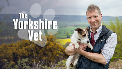 The Yorkshire Vet - For Animal Lovers category image