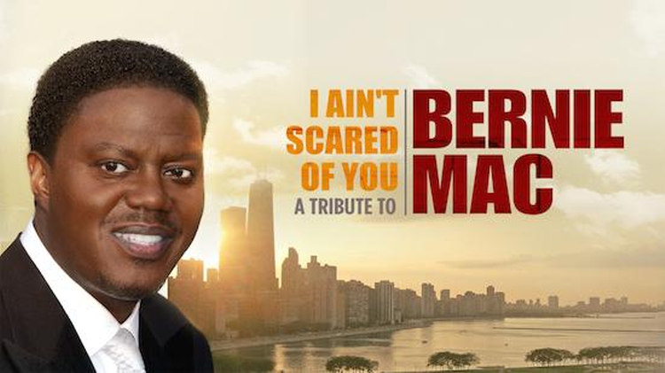 I Ain't Scared of You: A Tribute to Bernie Mac image