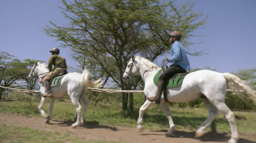 Galloping with the Wildebeest in Kenya